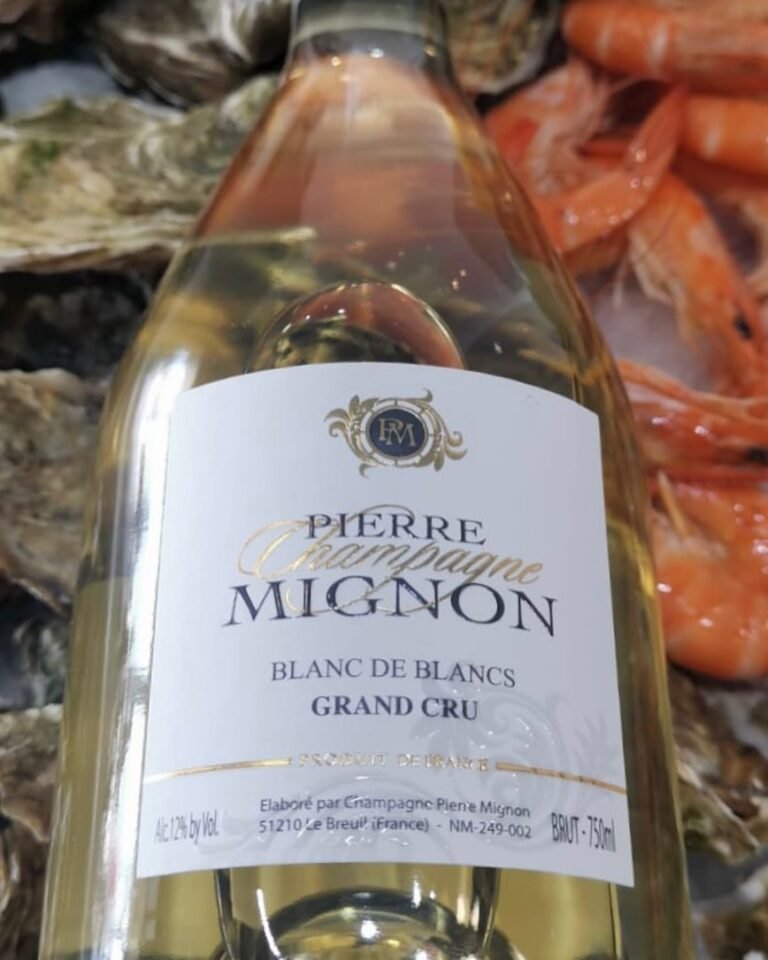 344782953_3558377484484117_9088284510260331799_n