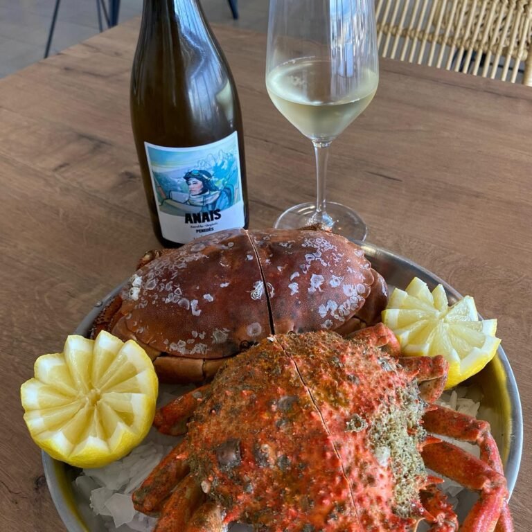 352215901_244381241529759_3394013599034392566_n